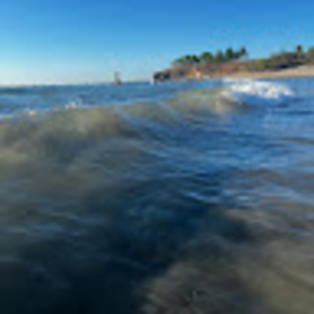 Meet your Posher, Addison